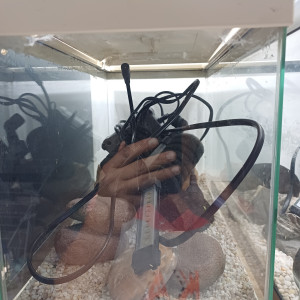 Aquarium 20L blanc entièrement équipé gravier blanc