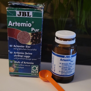 Œufs d’artemia (artemio pur)
