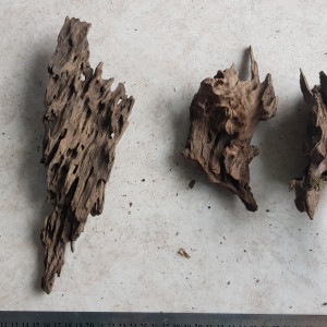 Lot de racines dragon wood