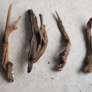 Lot de racines dragon wood