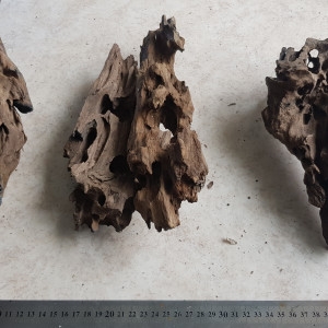 Lot de racines dragon wood