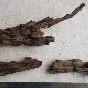 Lot de racines dragon wood