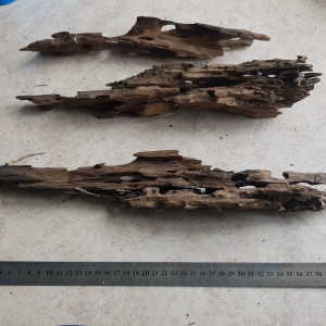 Lot de racines dragon wood