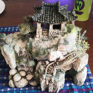 Décoration pour aquarium.