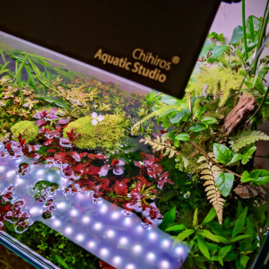 Chiriros wrgb2 80 pro