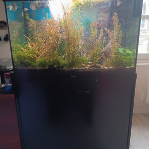 A Vendre cause Déménagement