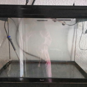 Vends Aquarium 200l avec meuble + filtre + accessoires