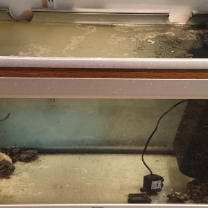 cuve aquarium