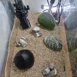 Aquarium 30L sol neutre blanc equipé