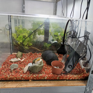 Aquarium 30L sol neutre rouge