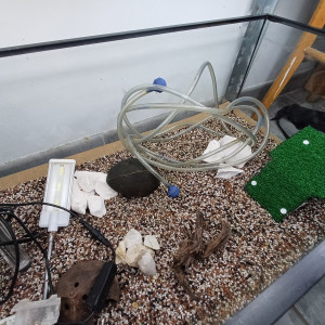 Aquarium 80L entièrement équipé
