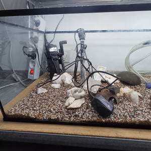 Aquarium 80L entièrement équipé