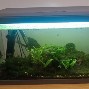 Aquarium Inwa confort 60
