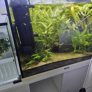Aquarium blanc 136L opportunité !