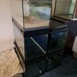 Cuves 60L pas cher !