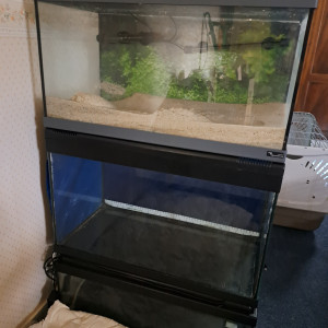 Cuves 60L pas cher !