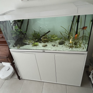 Aquarium Aquatlantis Splendid 120 (240L) avec meubles + filtre externe JBL Cristalprofi e1502 + éclairage LED
