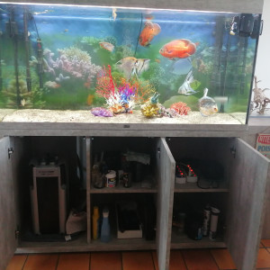 aquarium aquatlantis avec son meuble