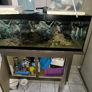 Aquarium + meuble