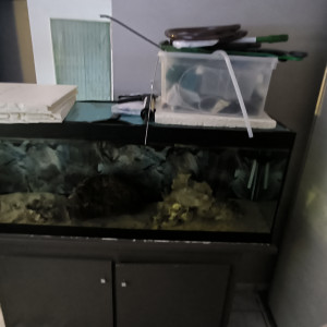 Aquarium + meuble