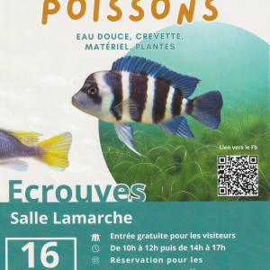 Bourse aux poissons