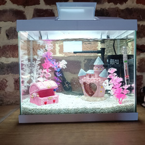 Aquarium 20 litres