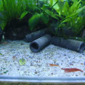 Red Cherry déclassé