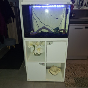 AQUARIUM AQUADISIO 60 L