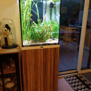 Aquarium Aquatlantis Tower 163 avec poissons et accessoires