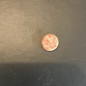 Pastille adhésive aux krill pour tout poisson