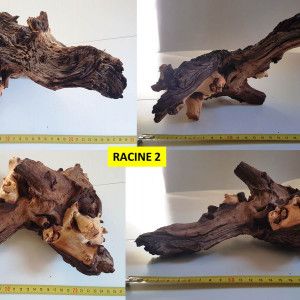 Lot de 3 racines Mopani