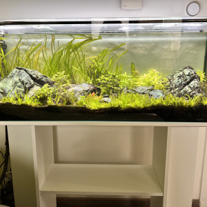 Aquarium 110 L COMPLET + MEUBLE ( avec rampe Led  + filtre + chauffage )