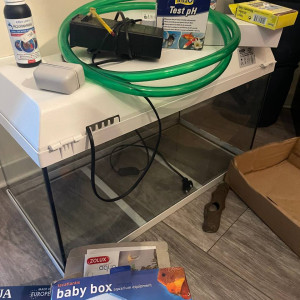Faire offre pour 2 aquariums + nourriture et accessoires