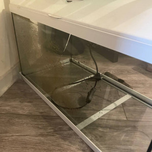 Faire offre pour 2 aquariums + nourriture et accessoires