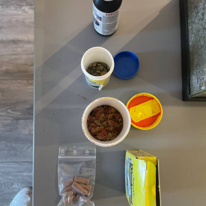 Faire offre pour 2 aquariums + nourriture et accessoires