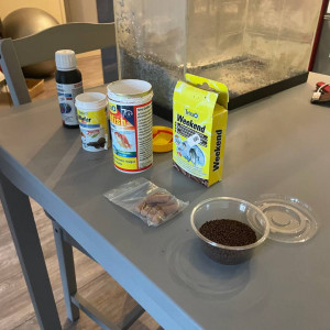 Faire offre pour 2 aquariums + nourriture et accessoires