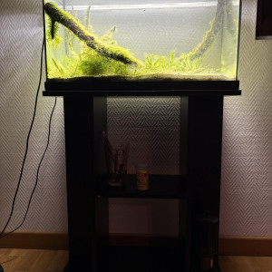 Cède aquarium complet et système de nettoyage