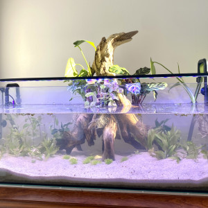 Aquarium / Vivarium Zolux 120L