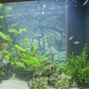 Donne scalaires env. 10cm de haut