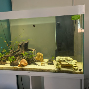 Aquarium 200l