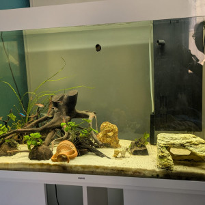 Aquarium 200l
