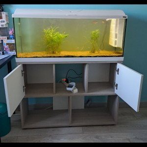 Aquarium zoolux iseo 100 litre tout équipé avec meuble