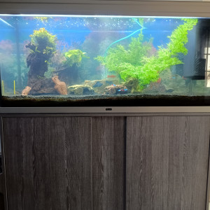 AQUARIUM 300 LITRES + MEUBLE