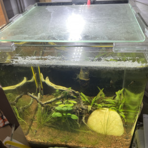 Aquarium Dennerle 20l