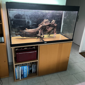 Aquarium 360 litres et environnement très complet