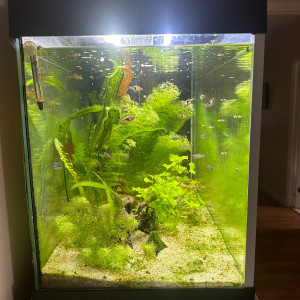 Aquarium complet et son meuble
