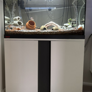 Ensemble complet Aquarium EHEIM 126L + Meuble
