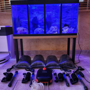 Aquarium a compartiments pour crevettes