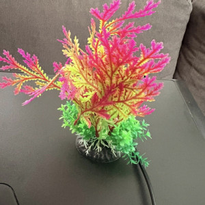 Aquarium de 58L
