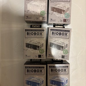 Lot 6 filtres Biobox taille S